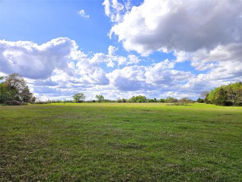 55.76 Acres Fm-3371 Groesbeck TX 76642