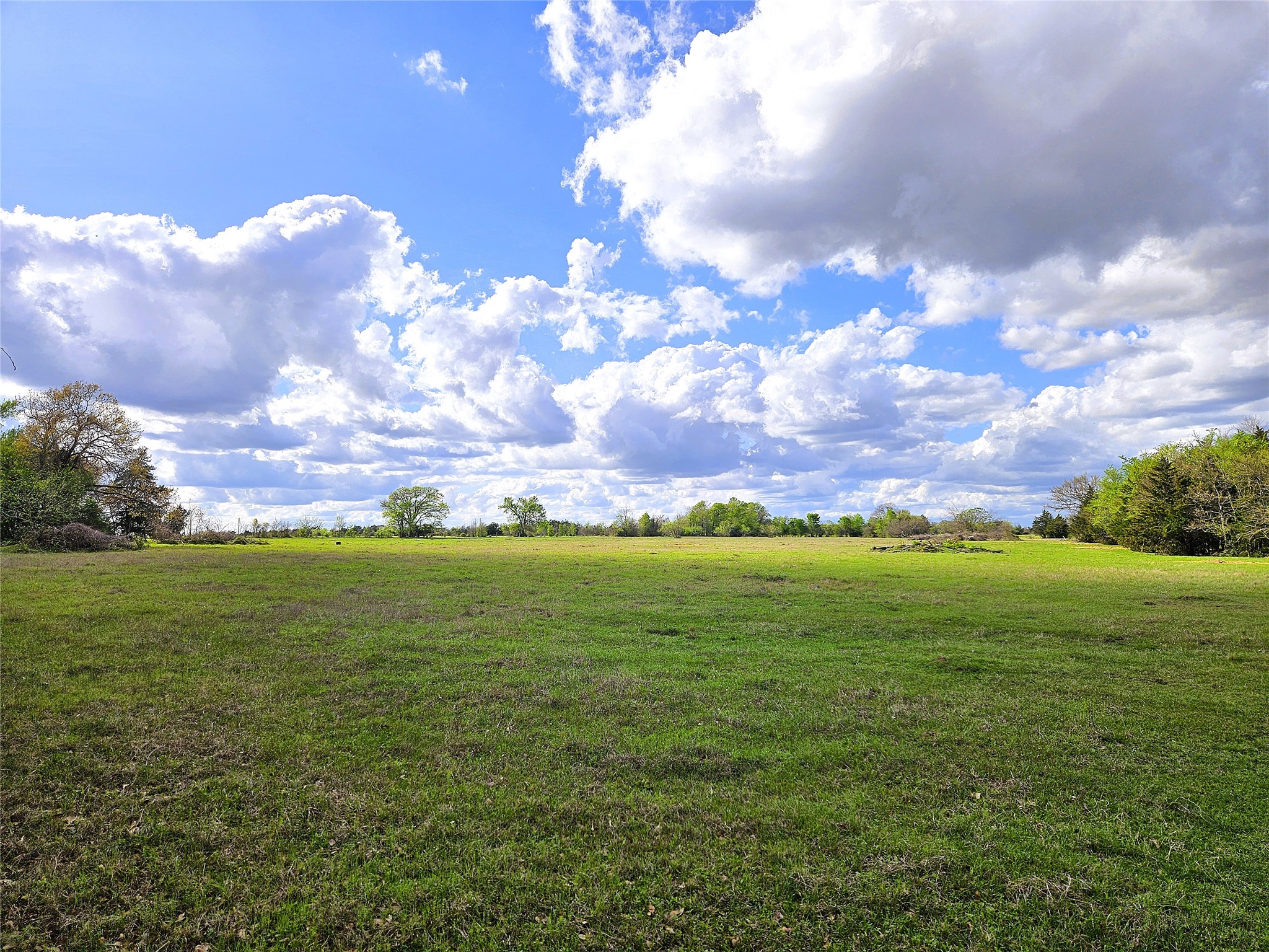55.76 Acres Fm-3371 Groesbeck TX 76642