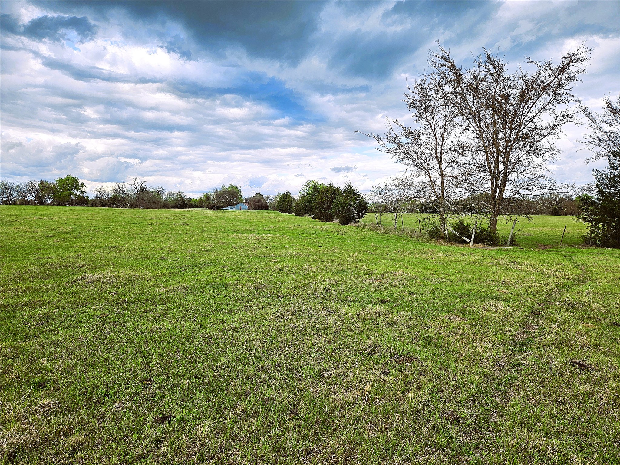 55.76 Acres Fm-3371 Groesbeck TX 76642