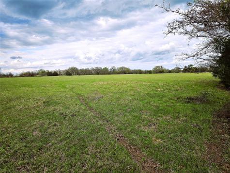 55.76 Acres Fm-3371 Groesbeck TX 76642