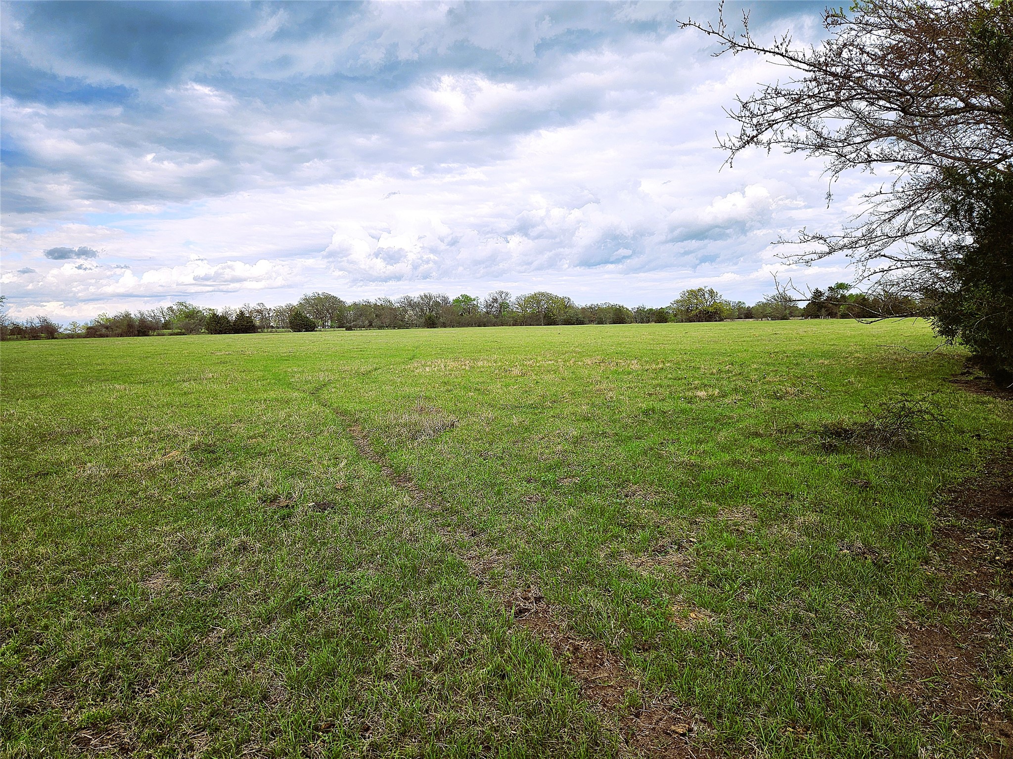 55.76 Acres Fm-3371 Groesbeck TX 76642