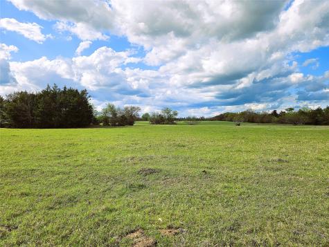 55.76 Acres Fm-3371 Groesbeck TX 76642