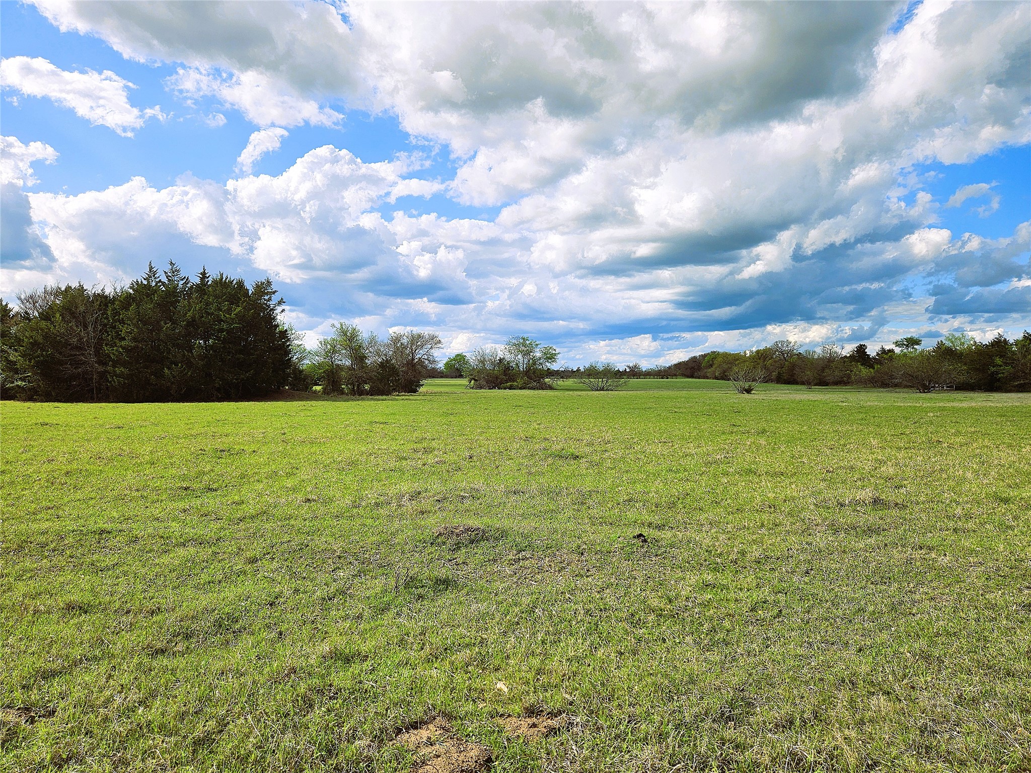 55.76 Acres Fm-3371 Groesbeck TX 76642