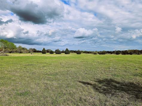 55.76 Acres Fm-3371 Groesbeck TX 76642