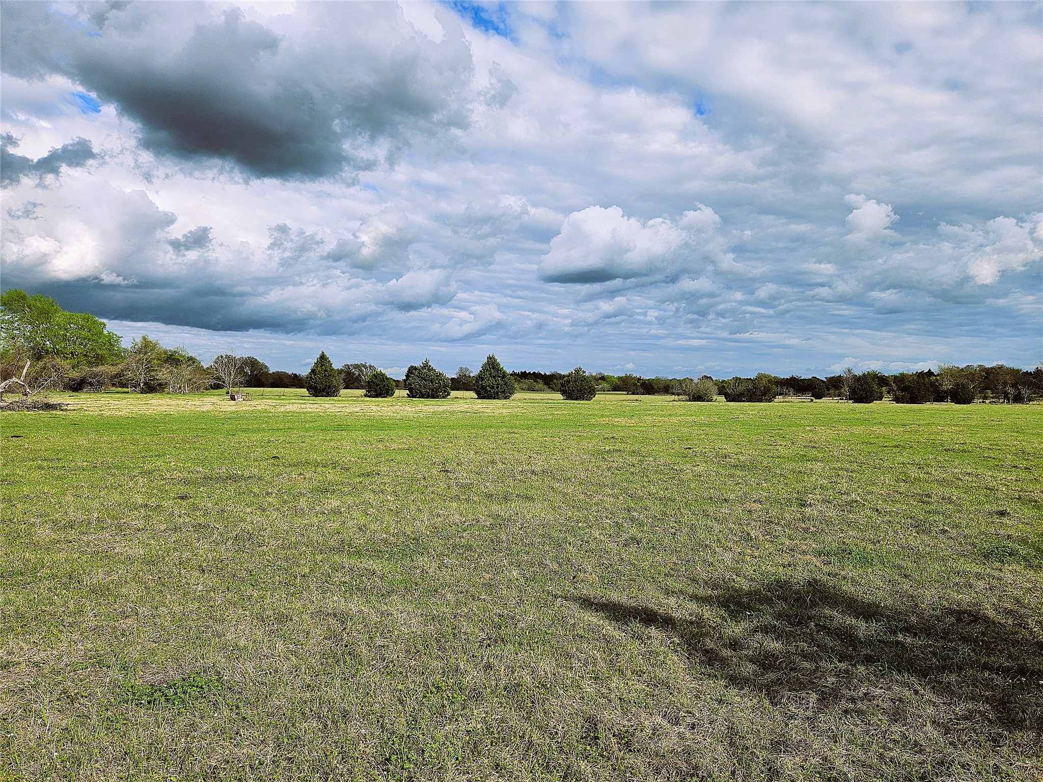 55.76 Acres Fm-3371 Groesbeck TX 76642