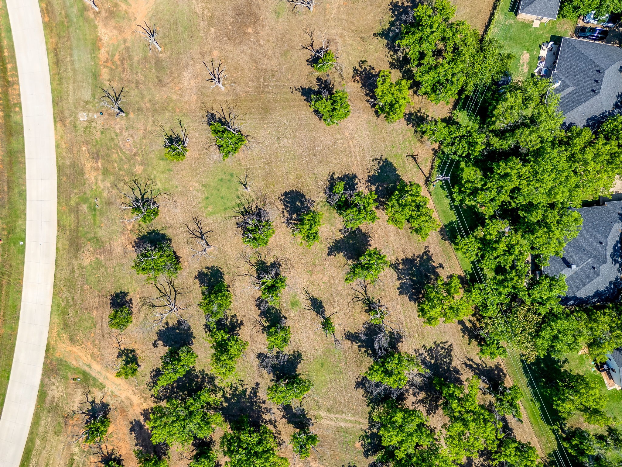 8421 W Landings Road Granbury TX 76049