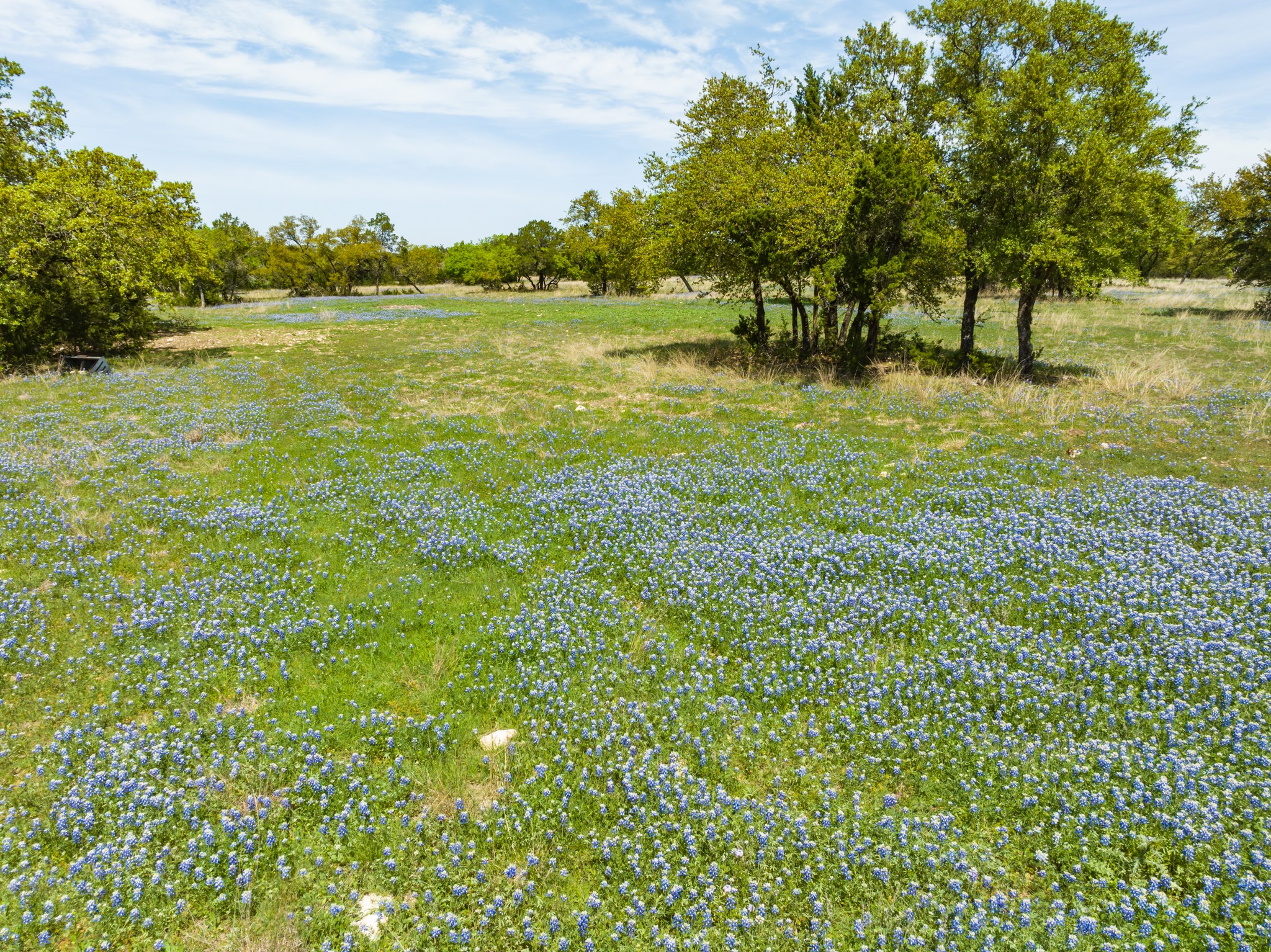 Tbd County Road 2140 Iredell TX 76649