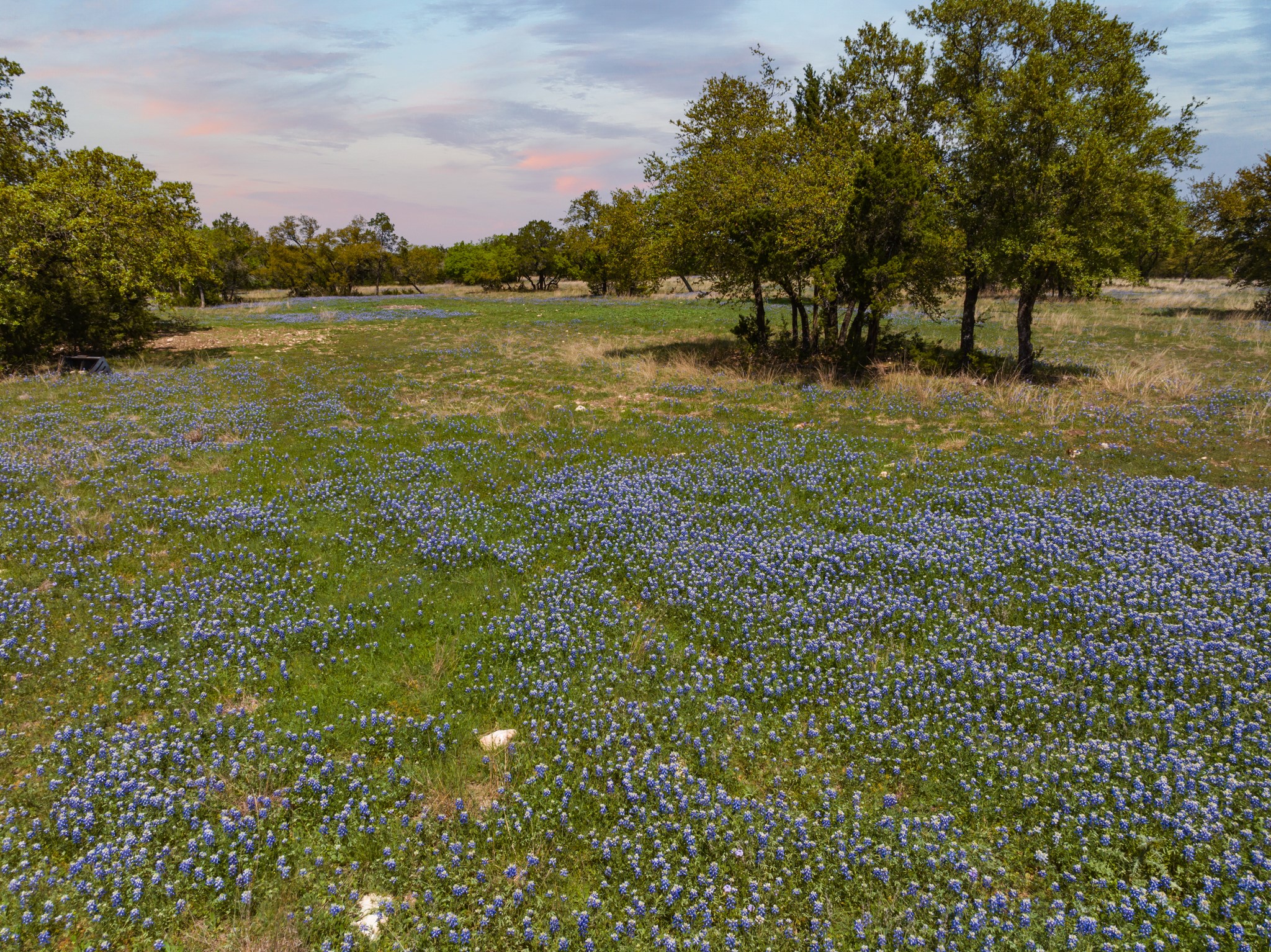 Tbd County Road 2140 Iredell TX 76649