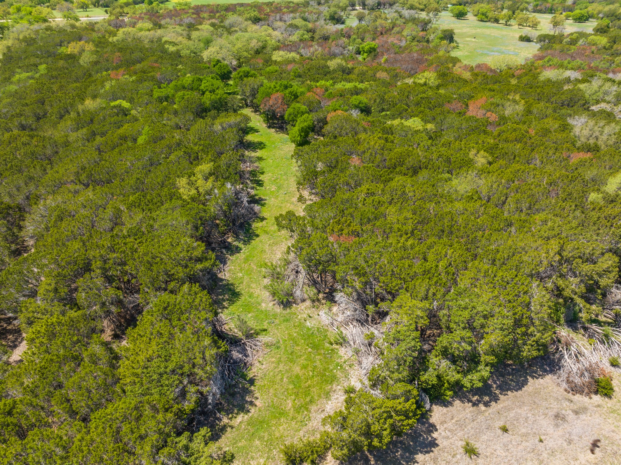 Tbd County Road 2140 Iredell TX 76649