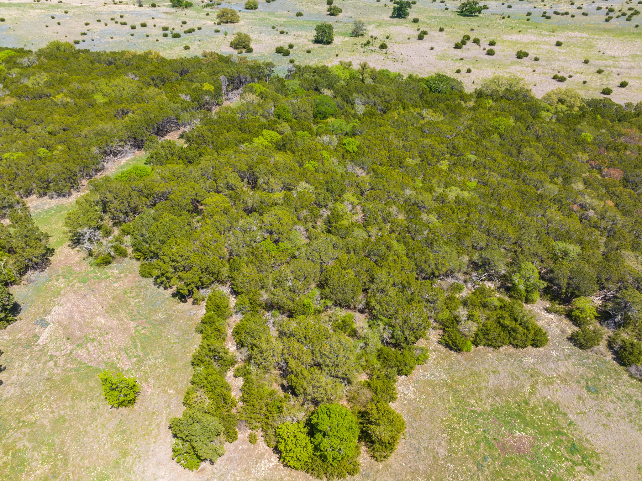 Tbd County Road 2140 Iredell TX 76649