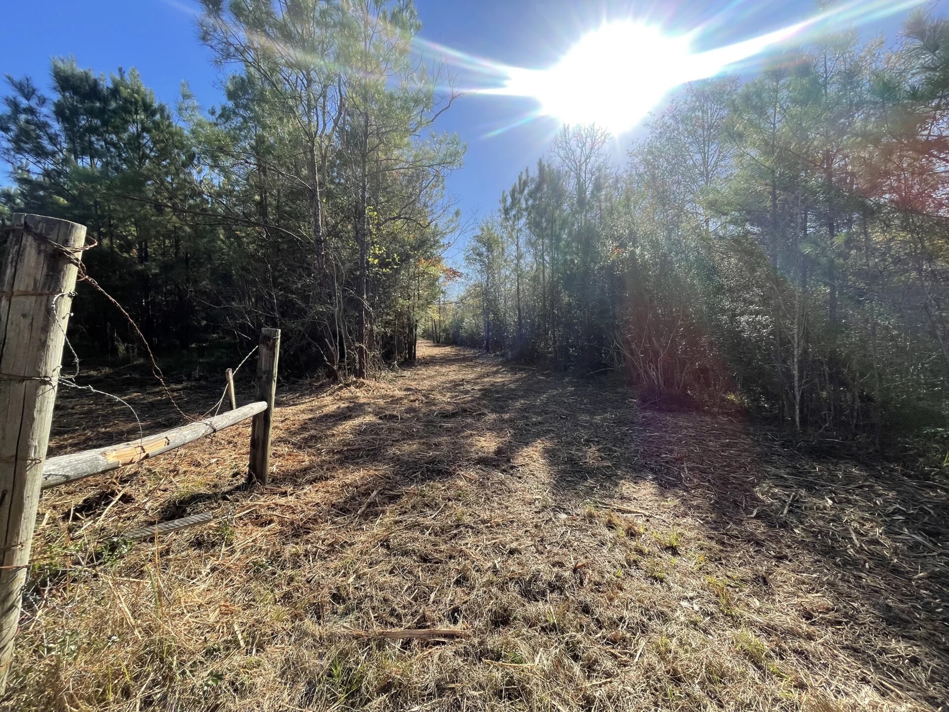 Lot 5 E Fm 942 Corrigan TX 75934