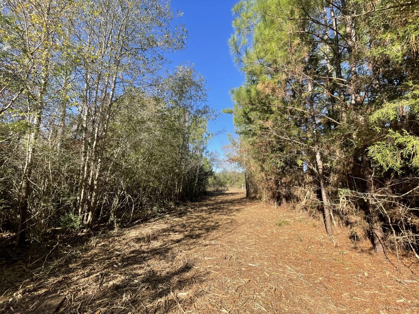 Lot 5 E Fm 942 Corrigan TX 75934