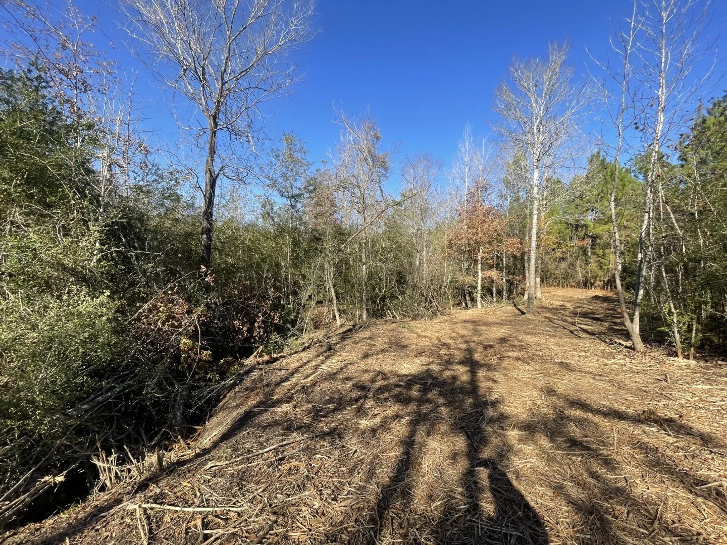 Lot 5 E Fm 942 Corrigan TX 75934