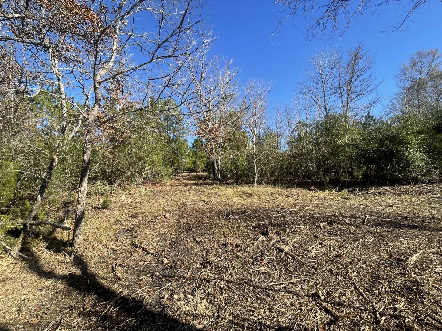 Lot 5 E Fm 942 Corrigan TX 75934