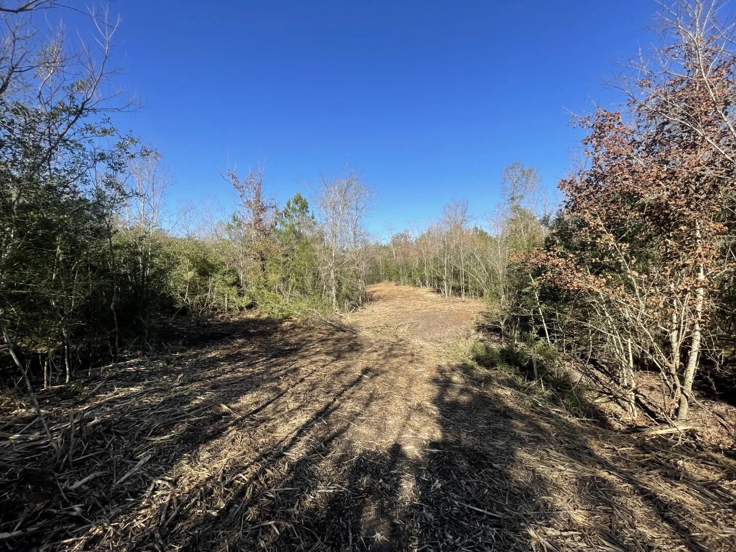 Lot 5 E Fm 942 Corrigan TX 75934