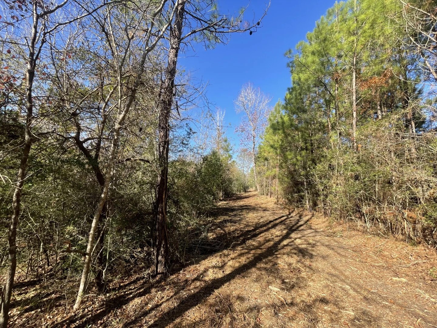 Lot 5 E Fm 942 Corrigan TX 75934
