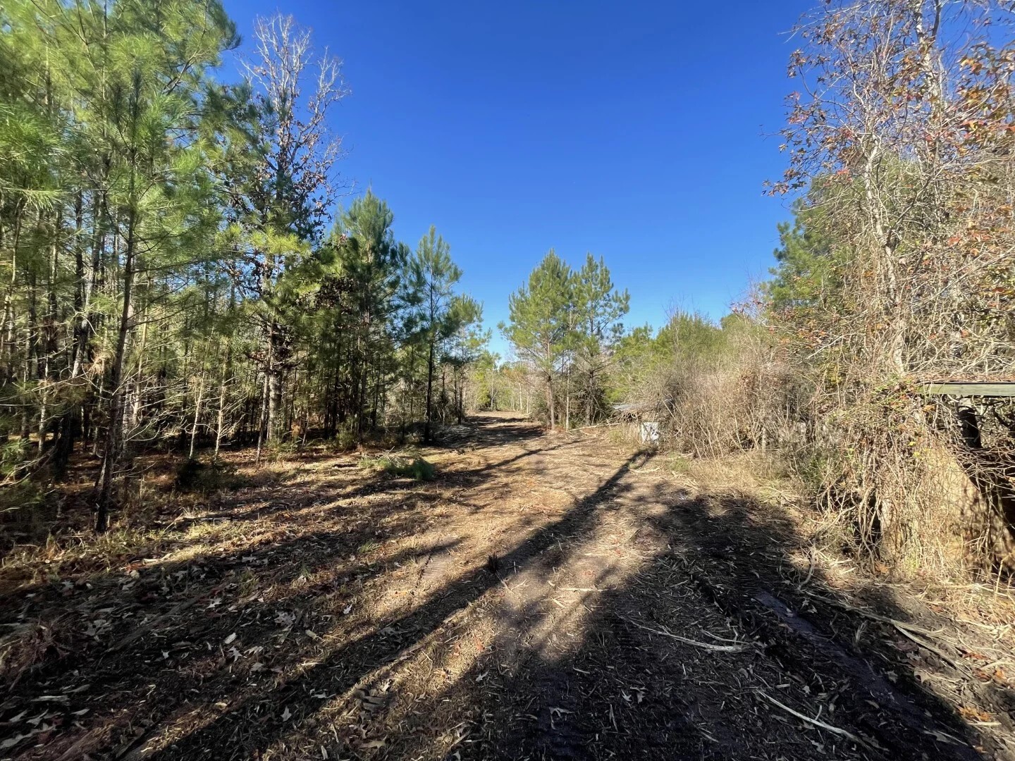 Lot 5 E Fm 942 Corrigan TX 75934