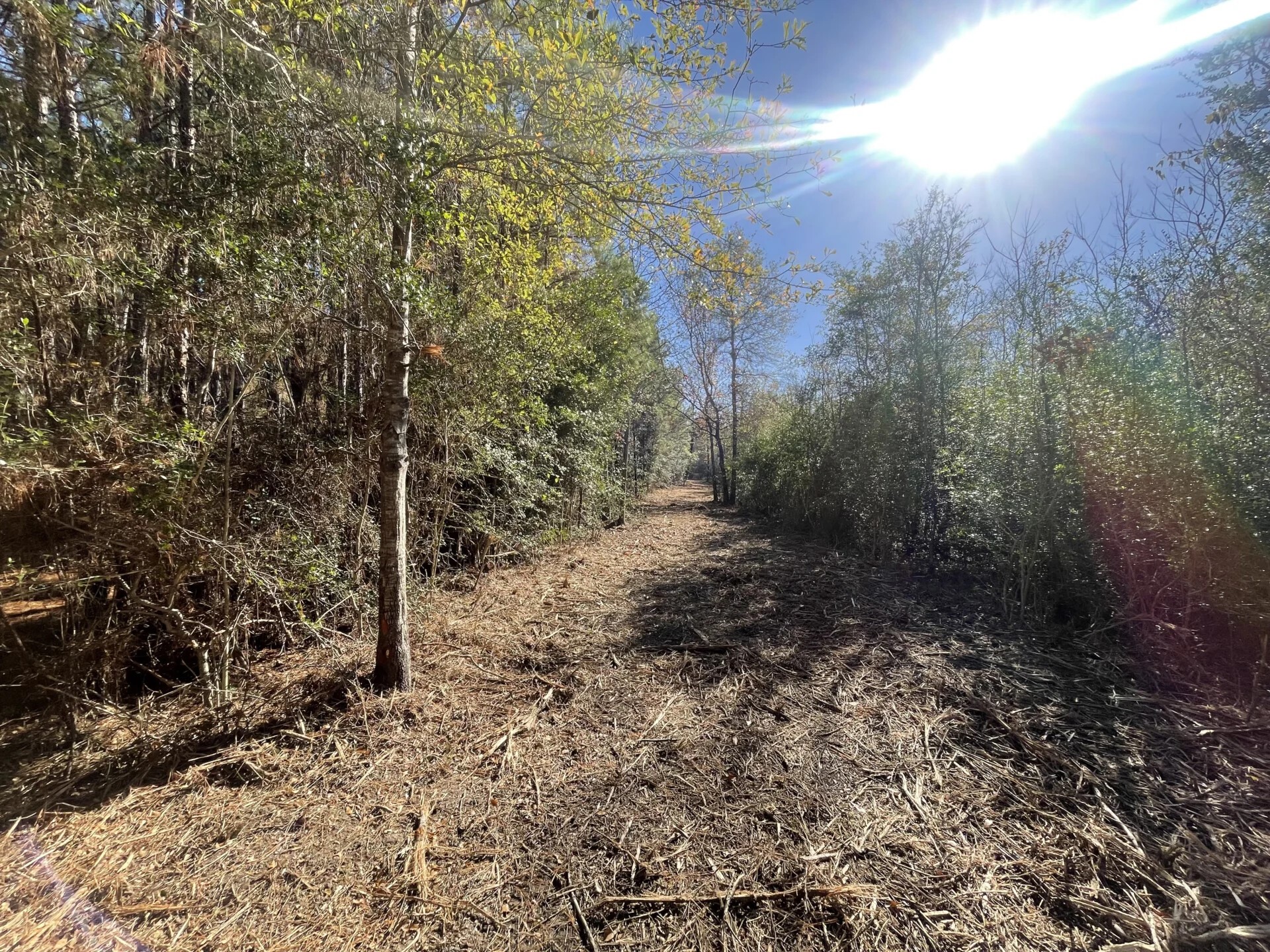 Lot 5 E Fm 942 Corrigan TX 75934