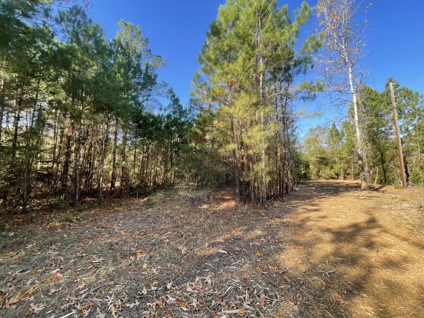 Lot 5 E Fm 942 Corrigan TX 75934