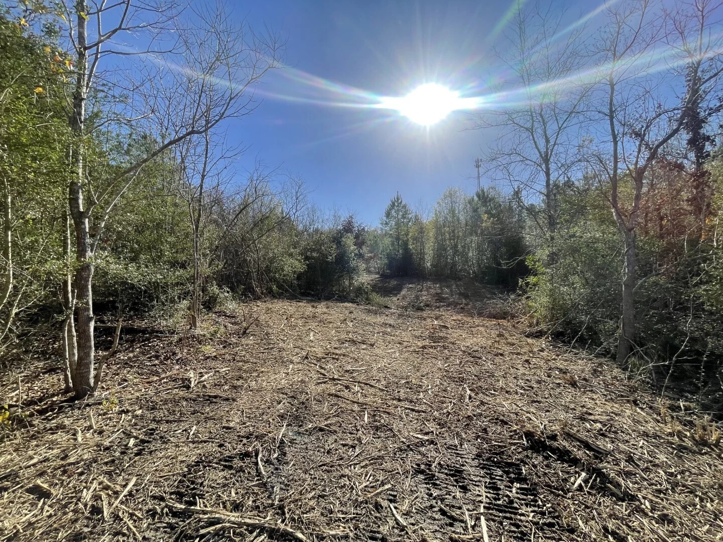 Lot 5 E Fm 942 Corrigan TX 75934