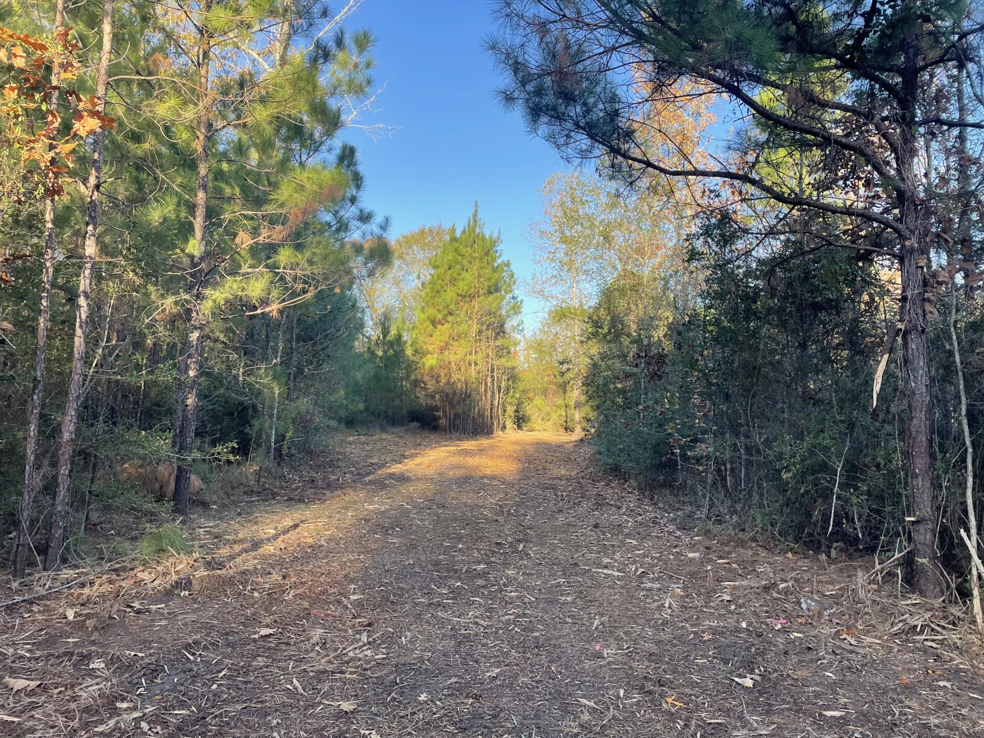 Lot 5 E Fm 942 Corrigan TX 75934