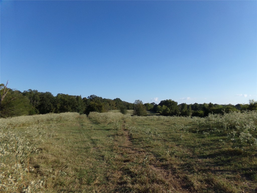 1753 Fm 194 Blossom TX 75416