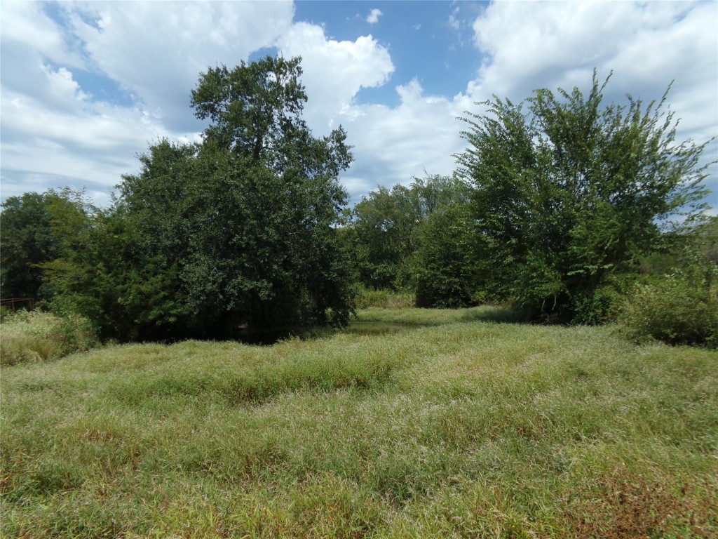 1753 Fm 194 Blossom TX 75416