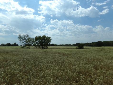 1753 Fm 194 Blossom TX 75416