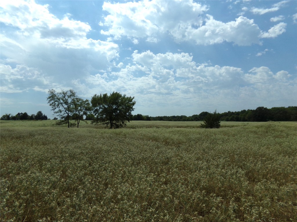 1753 Fm 194 Blossom TX 75416