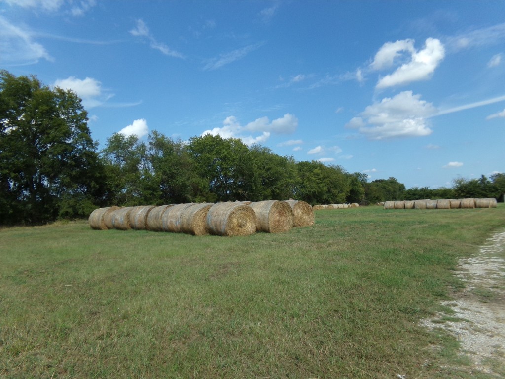 1753 Fm 194 Blossom TX 75416