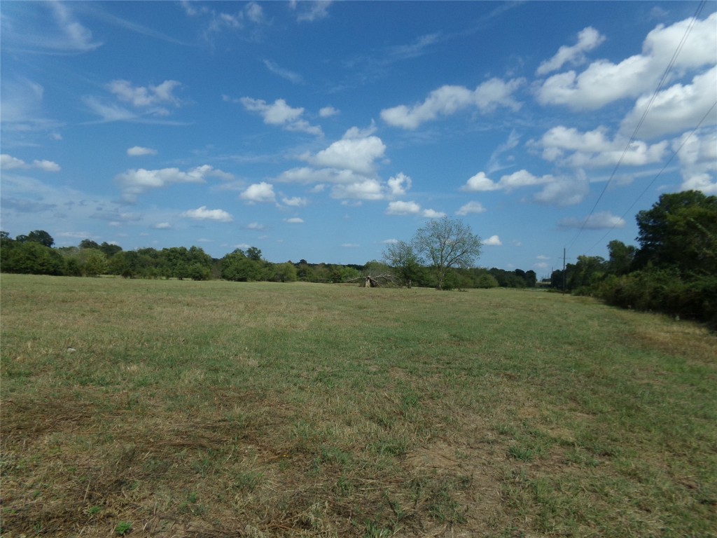 1753 Fm 194 Blossom TX 75416