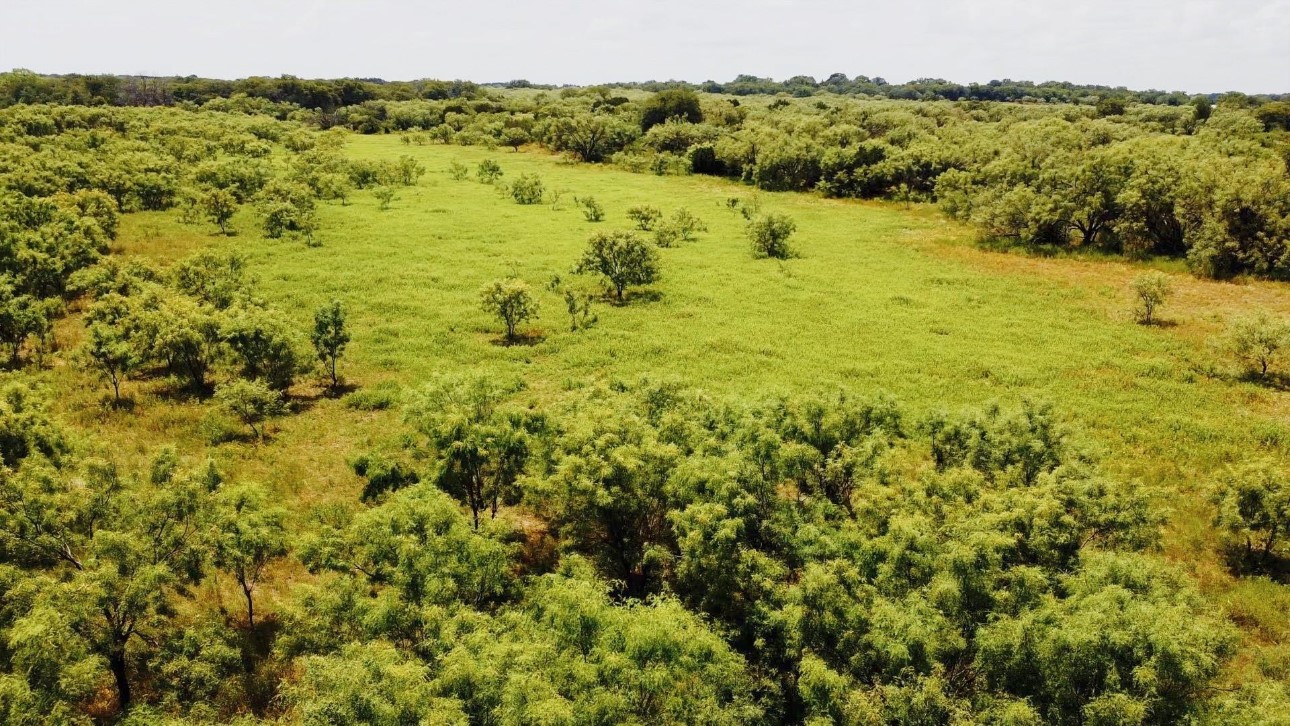 Tbd Pritchard County Road 139 Bangs TX 76823