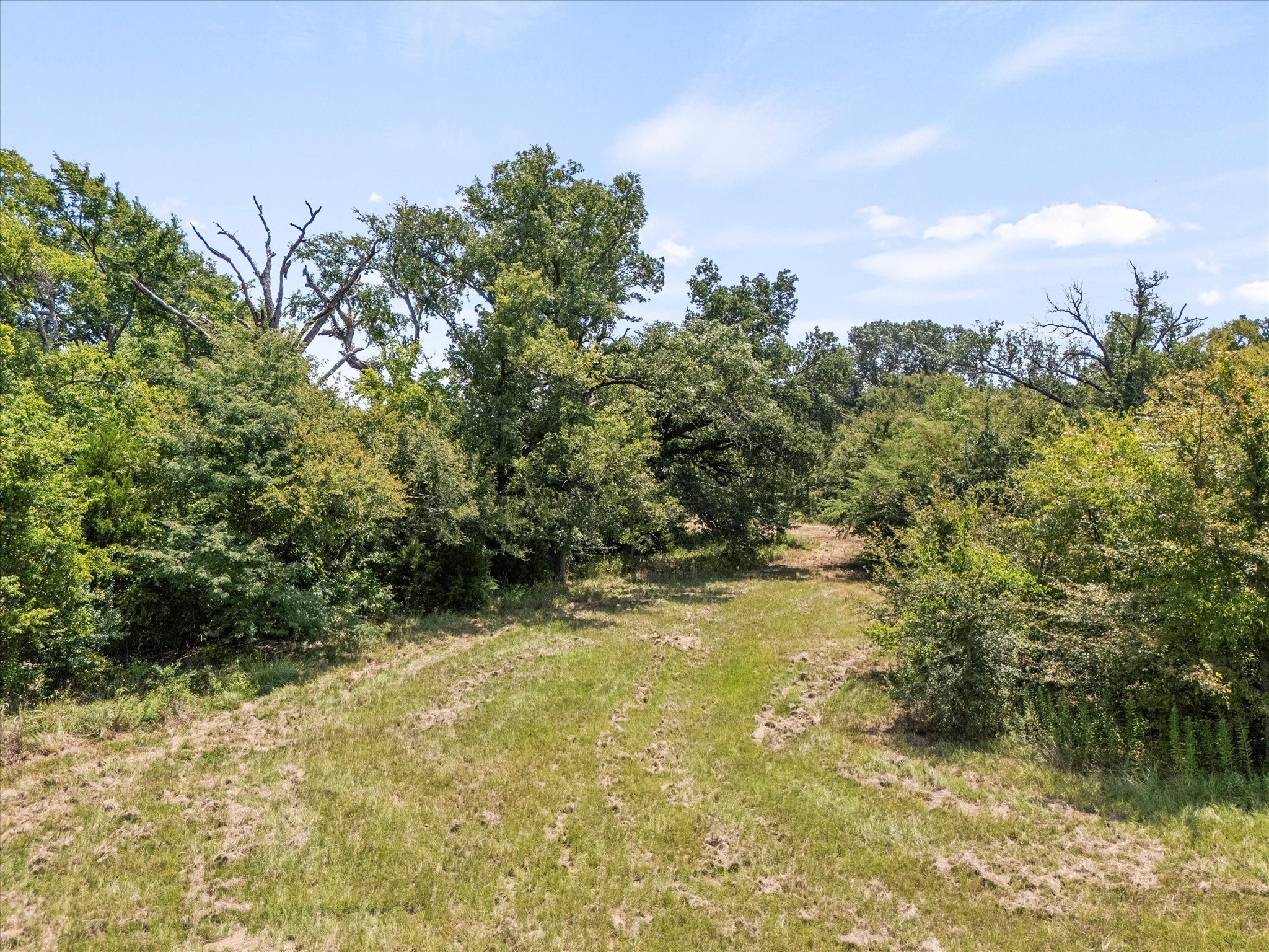 883 Fm 1653 Ben Wheeler TX 75754