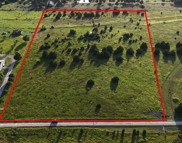 Tbd Cedar Ridge Court Farmersville TX 75442