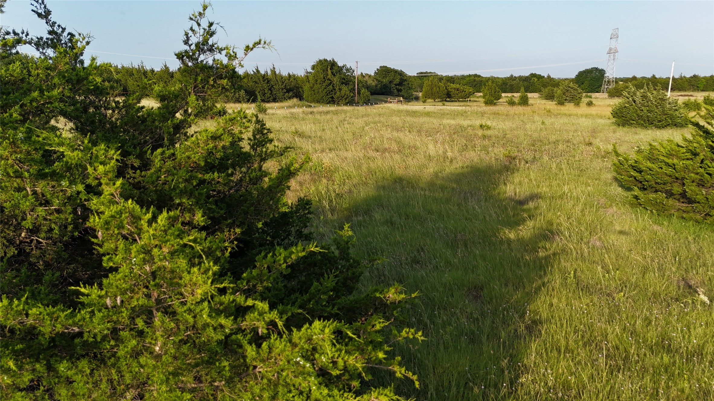 Tbd Cedar Ridge Court Farmersville TX 75442
