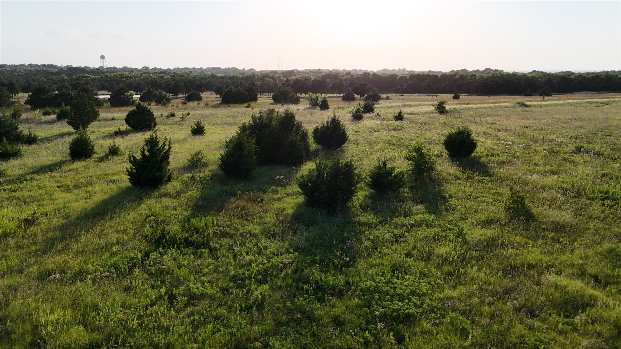 Tbd Cedar Ridge Court Farmersville TX 75442