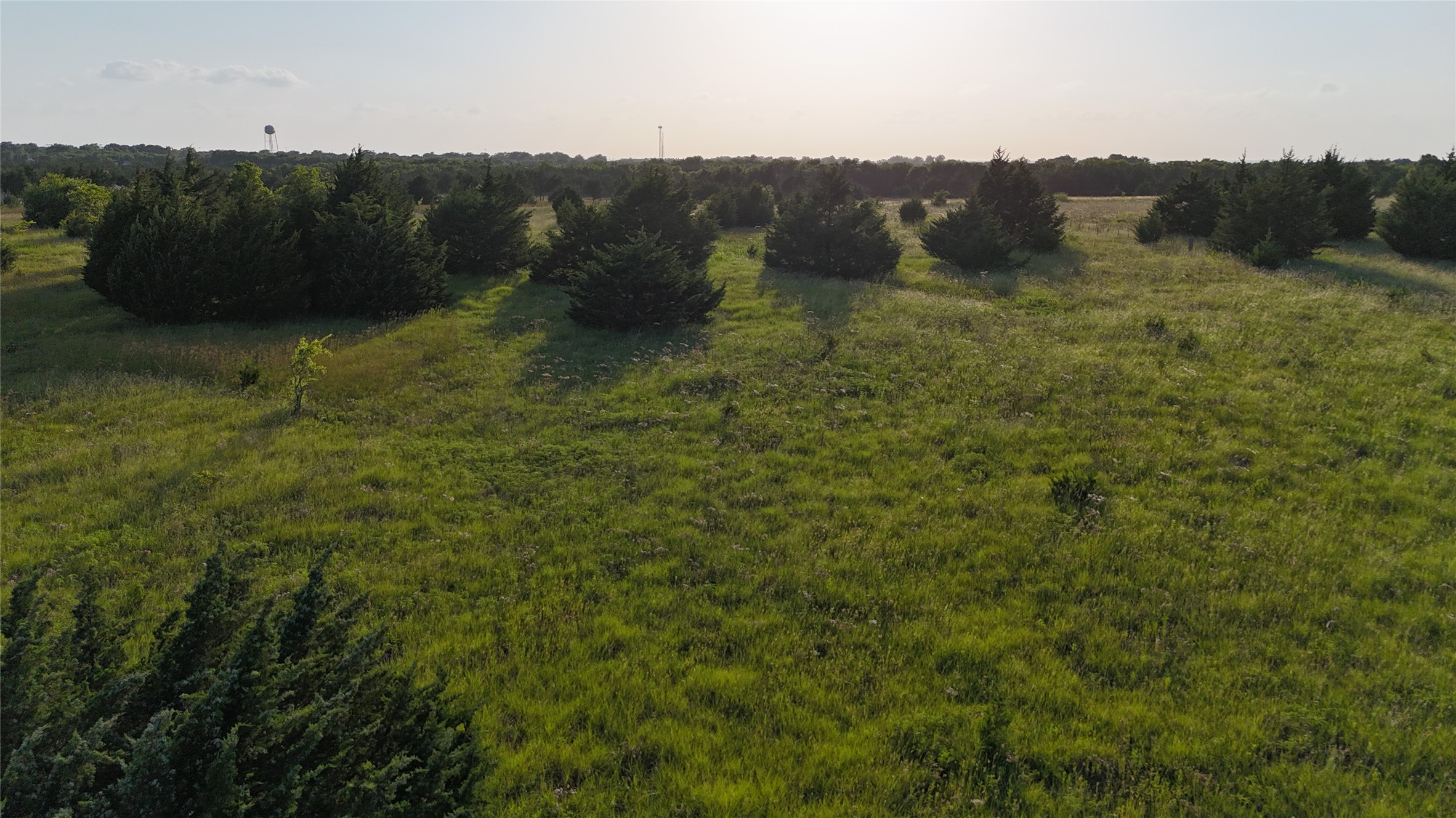 Tbd Cedar Ridge Court Farmersville TX 75442