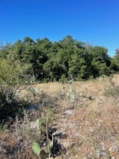 3120 Buck View Road Brownwood TX 76801