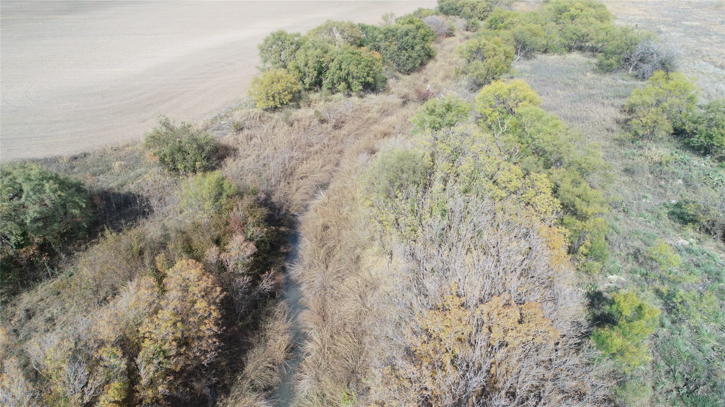 Tbd Fm 2647 Ballinger TX 76821