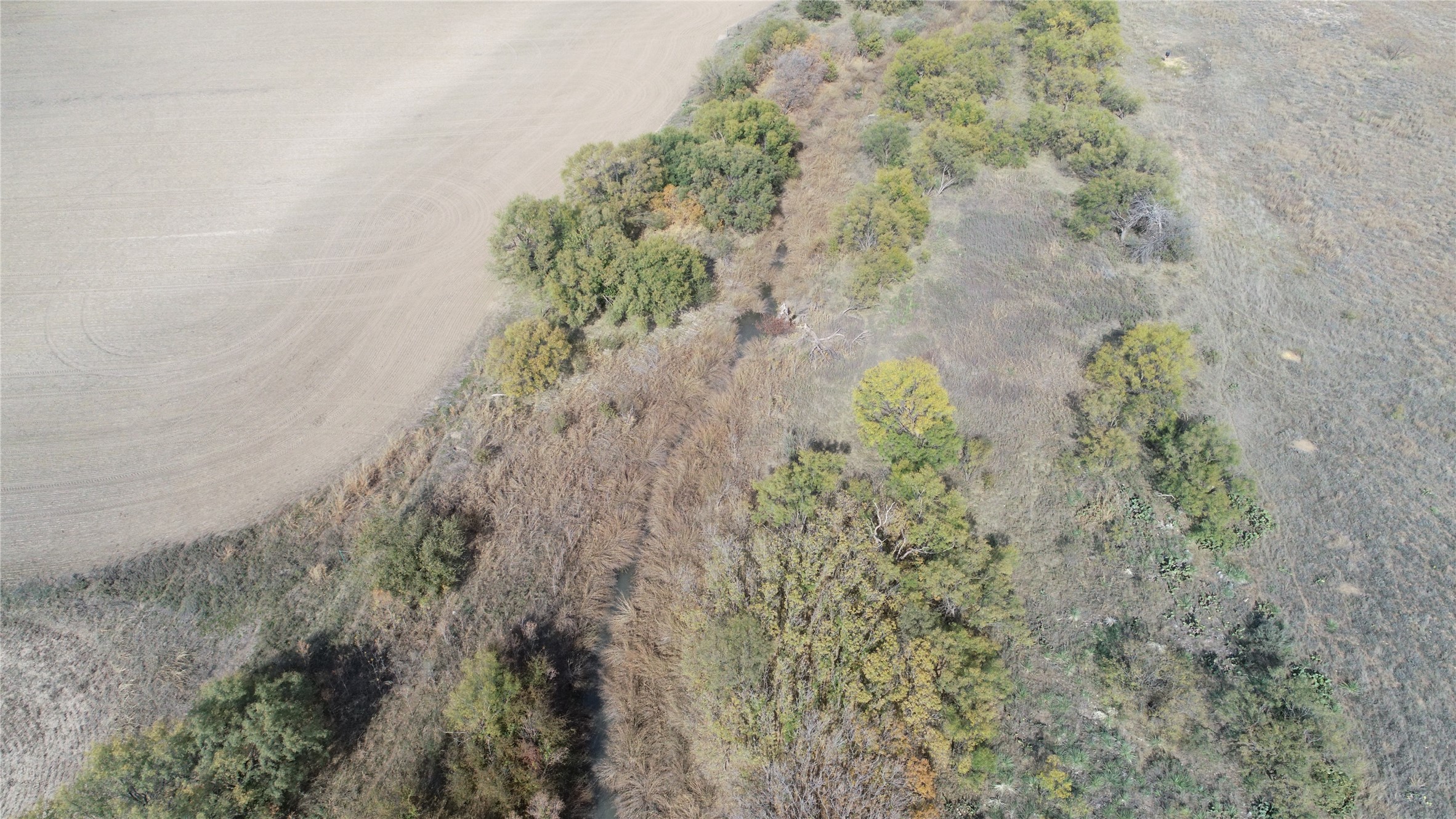 Tbd Fm 2647 Ballinger TX 76821