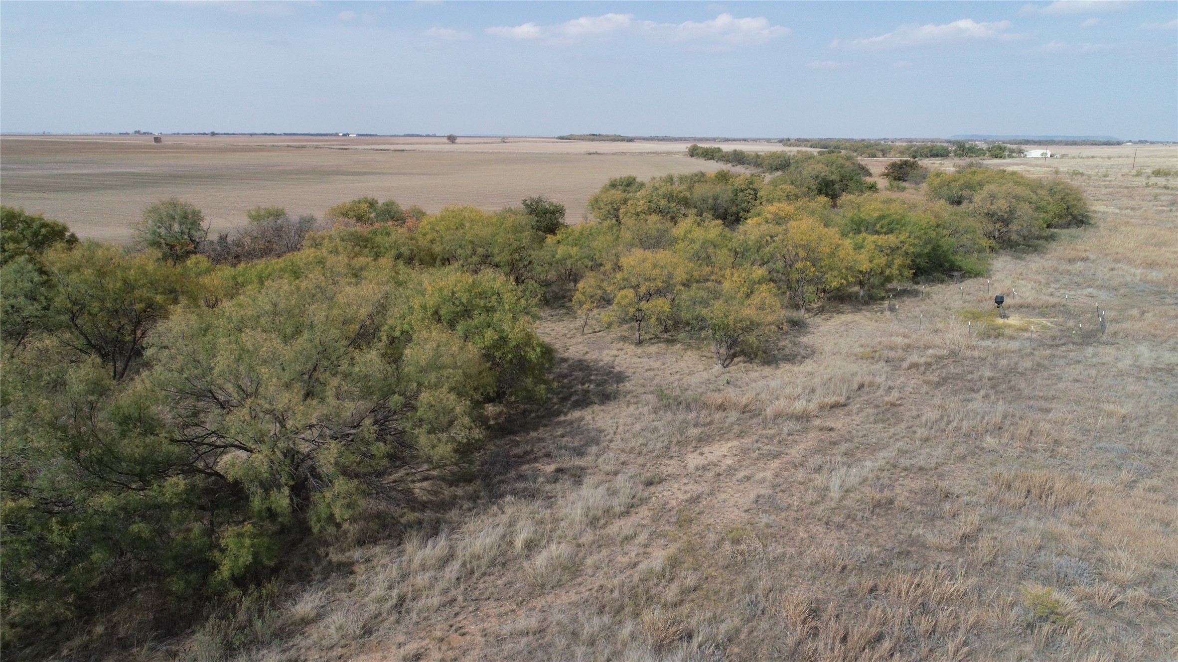 Tbd Fm 2647 Ballinger TX 76821
