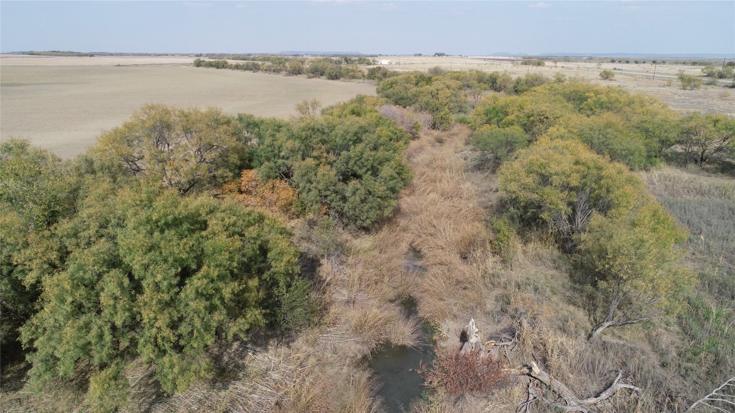 Tbd Fm 2647 Ballinger TX 76821