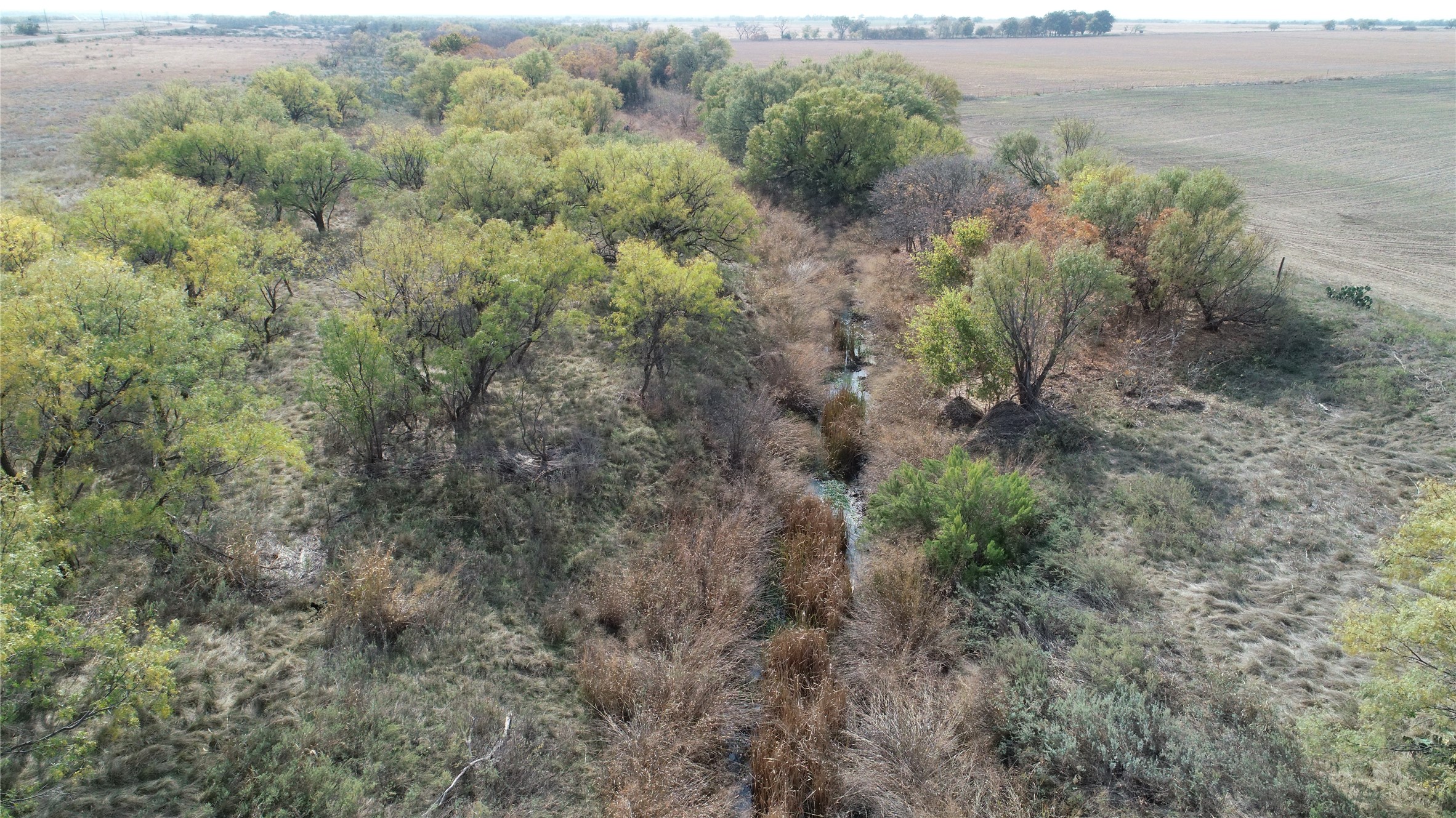 Tbd Fm 2647 Ballinger TX 76821