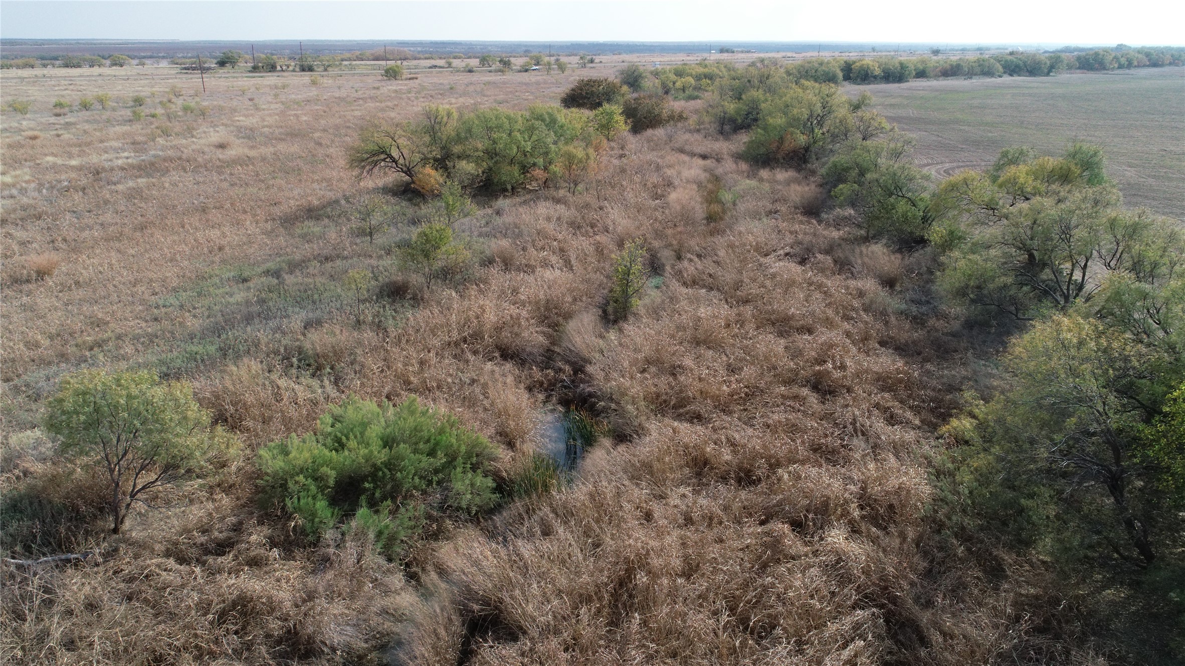 Tbd Fm 2647 Ballinger TX 76821