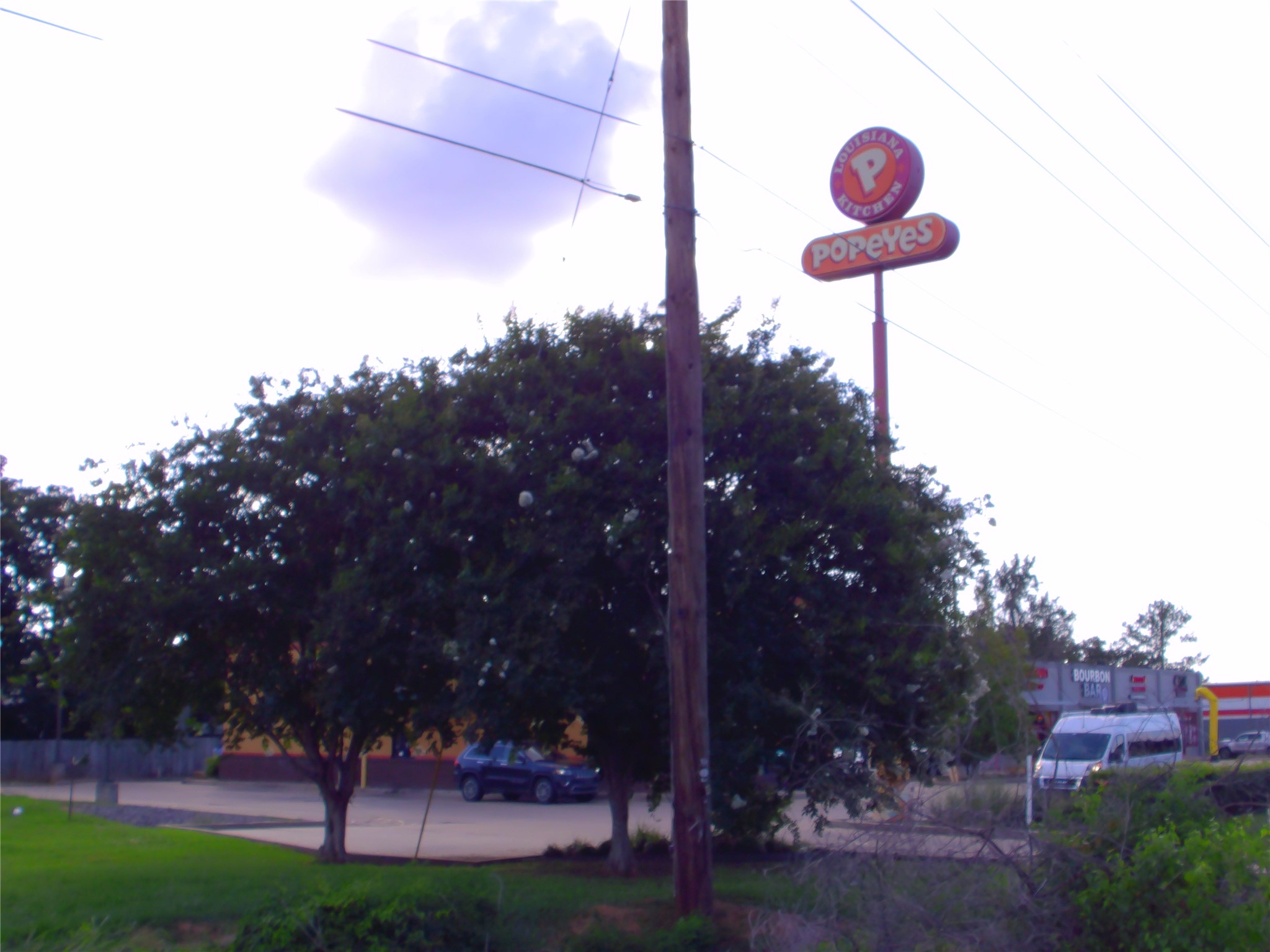 8660 Youree Drive Shreveport LA 71115