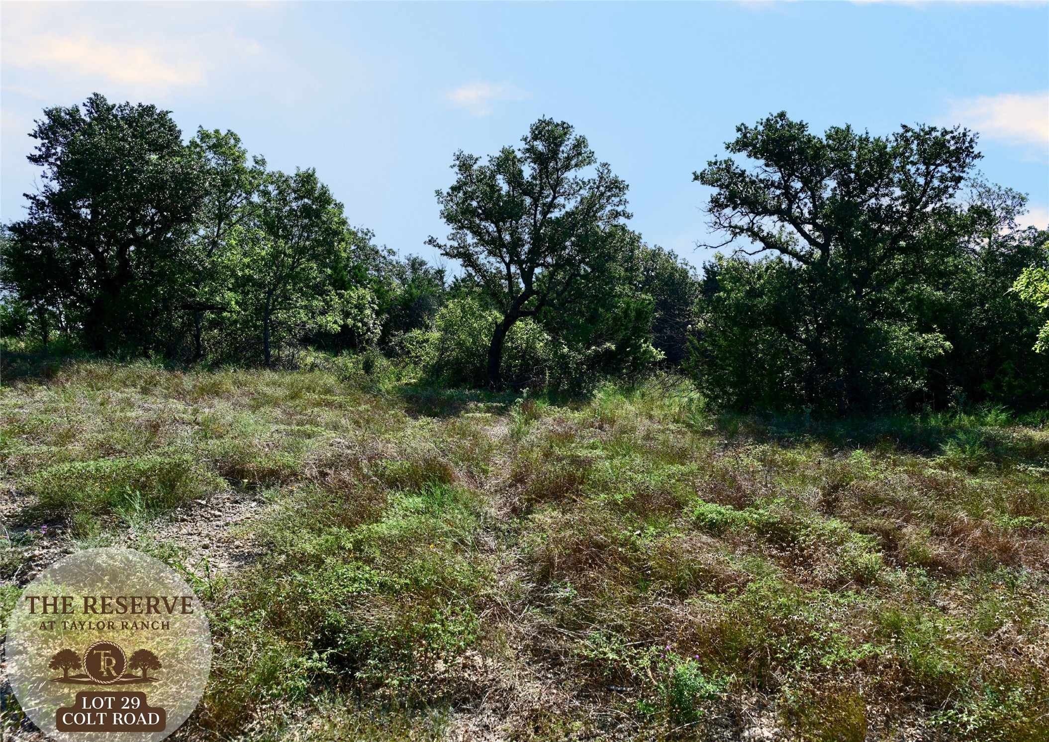 Lot 29 Colt- Road Springtown TX 76082