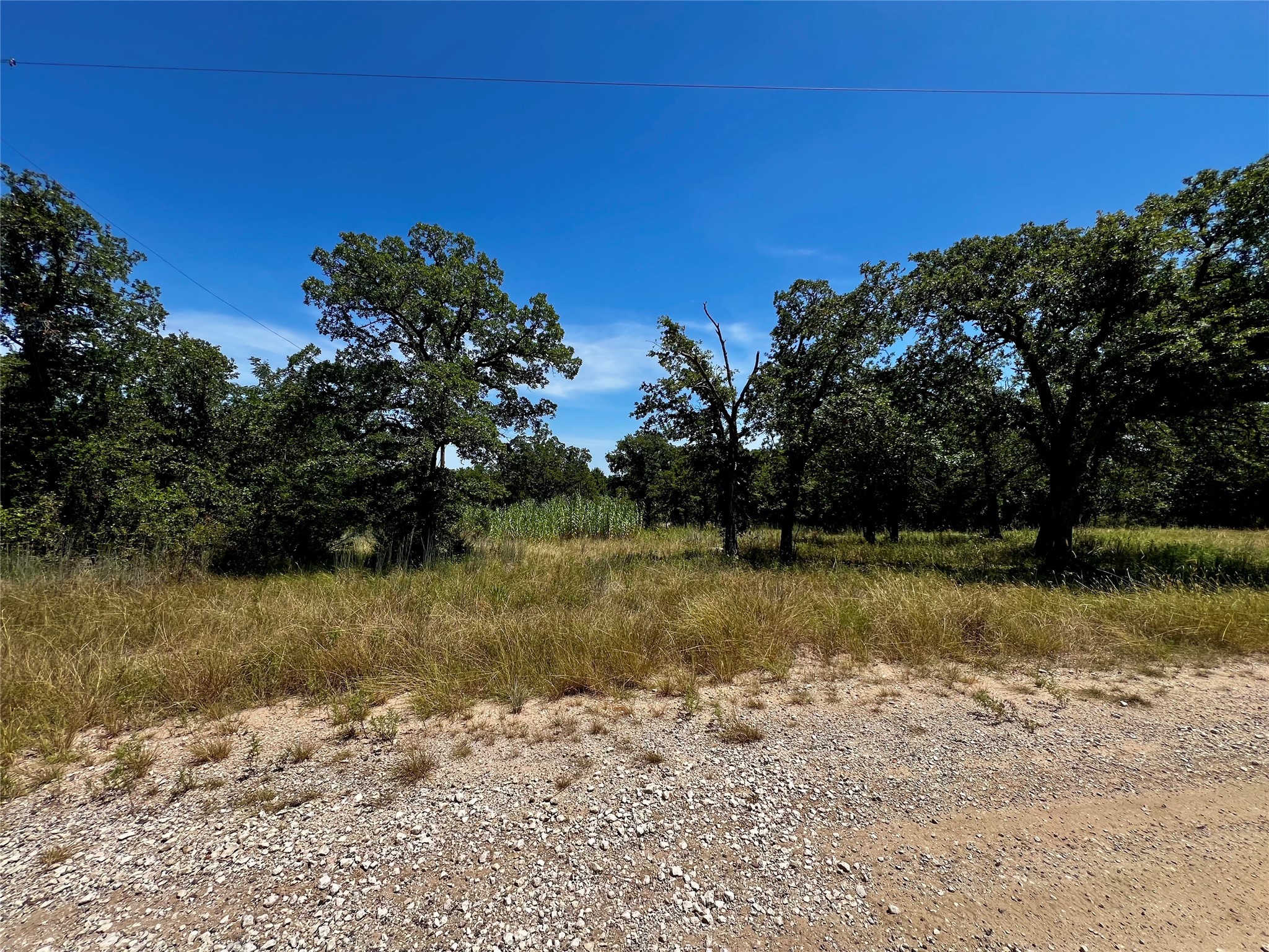 114 E Mojave Trail Nocona TX 76255