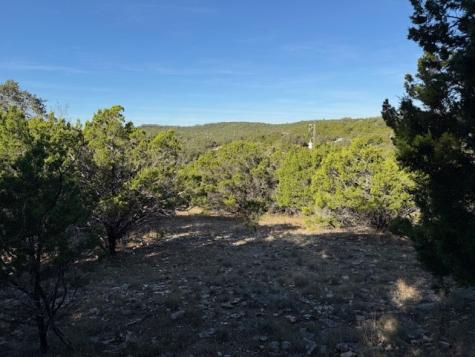 1406 Canyon Trace Canyon Lake TX 78133