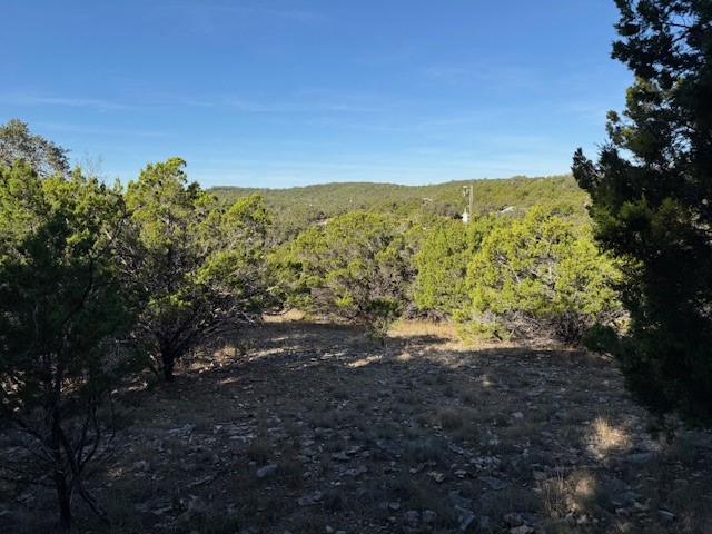 1406 Canyon Trace Canyon Lake TX 78133