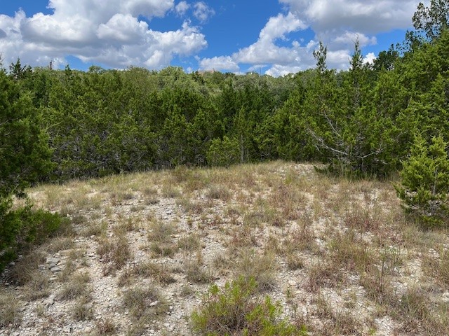 1406 Canyon Trace Canyon Lake TX 78133